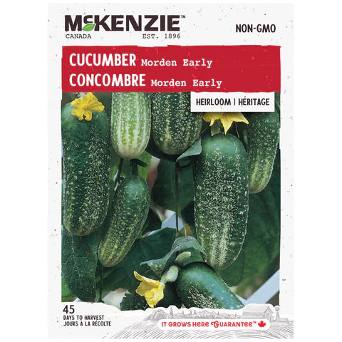 Semence - Concombre morden early - Mckenzie