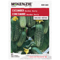 Semence - Concombre morden early - Mckenzie