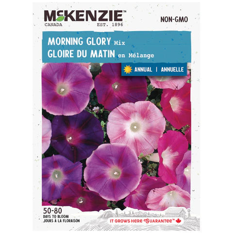 Semence - Gloire du matin en mélange - Mckenzie
