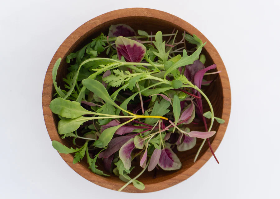 Semence - Mélange micropousses 3 semaines - West Coast Seeds
