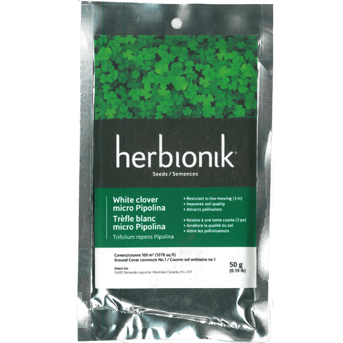 Herbionik – Semence trèfle blanc micro pipolina