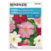 Semence - Cosmos Early sensation en mélange - Mckenzie
