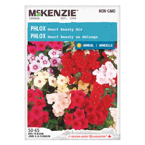 Semence - Phlox Dwarf beauty en mélange - Mckenzie