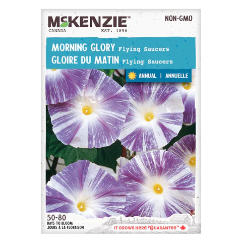 Semence - Gloire du matin Flying saucers - Mckenzie