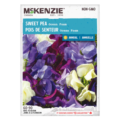 Semence - Pois de senteur Ocean foam - Mckenkie