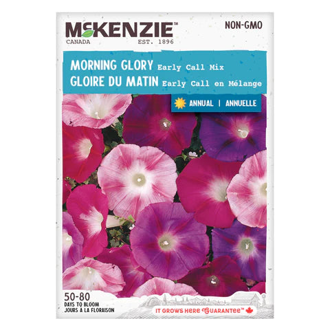 Semence - Gloire du matin Early call en mélange - Mckenzie