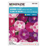 Semence - Gloire du matin Early call en mélange - Mckenzie