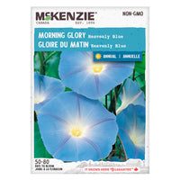 Seed - Morning Glory Heavenly Blue - McKenzie