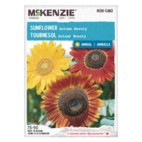 Semence - Tournesol Autumn beauty - Mckenzie