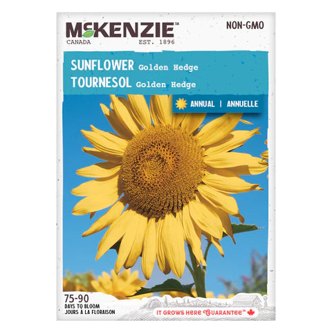 Semence - Tournesol Golden hedge - Mckenzie