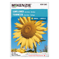 Semence - Tournesol Golden hedge - Mckenzie