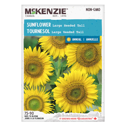 Semence - Tournesol Large seeded tall - Mckenzie