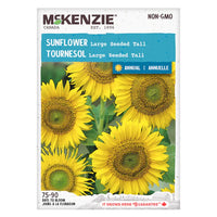 Semence - Tournesol Large seeded tall - Mckenzie