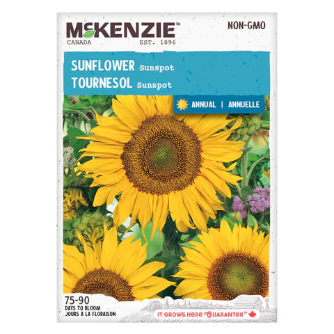 Semence - Tournesol Sunspot - Mckenzie