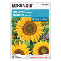 Semence - Tournesol Sunspot - Mckenzie