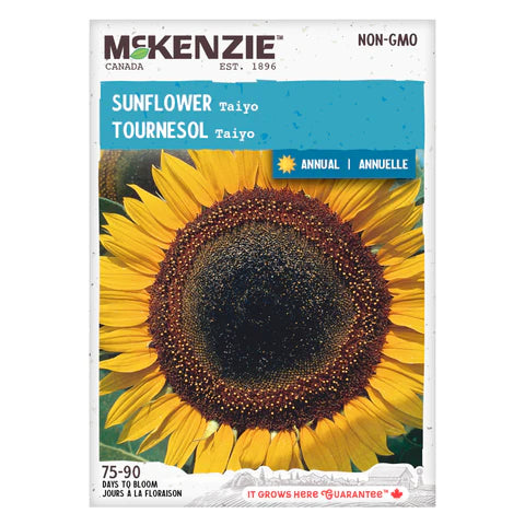 Semence - Tournesol Taiyo - Mckenzie