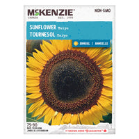 Semence - Tournesol Taiyo - Mckenzie