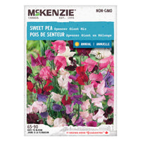 Semence - Pois de senteur Spencer giant en mélange - Mckenzie