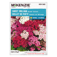 Semence - Oeillet de poéte Double en mélange - Mckenzie