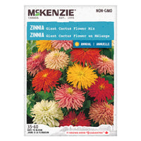 Semence - Zinnia Giant cactus flower en mélange - Mckenzie