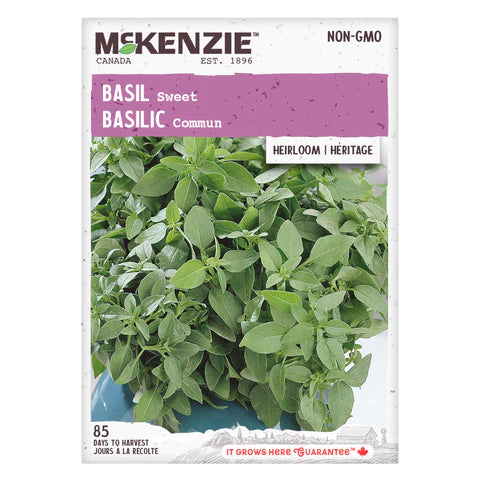 Semence - Basilic Commun - Mckenzie
