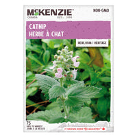 Semence - Herbe à chat - Mckenzie