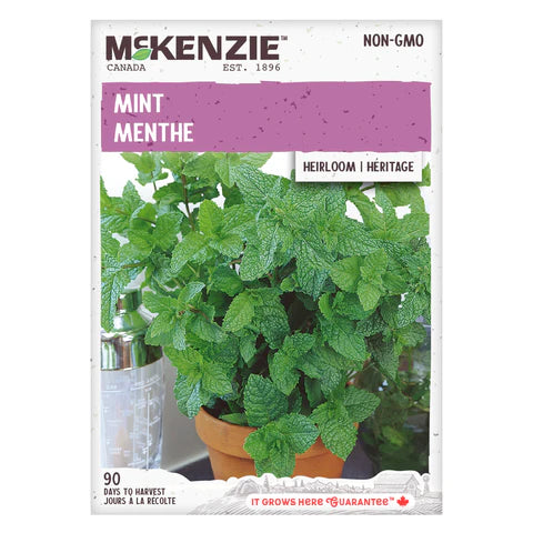 Semence - Menthe - Mckenzie