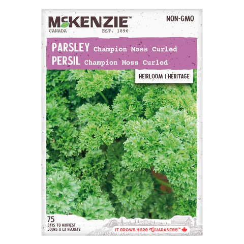 Semence - Persil Champion moss curled - Mckenzie