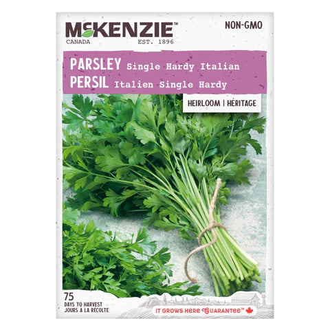 Semence - Persil Italien single hardy - Mckenzie