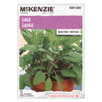 Semence - Sauge - Mckenzie