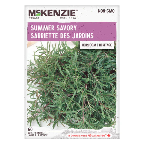 Semence - Sarriette des jardins - Mckenzie