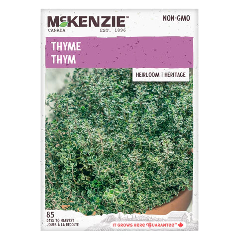 Semence - Thym - Mckenzie