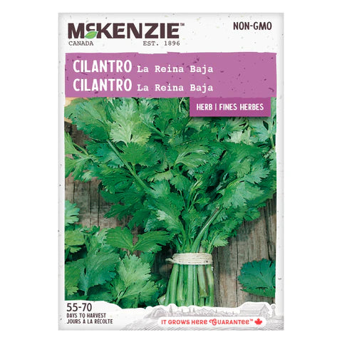 Semence - Coriandre la reine Baja - Mckenzie