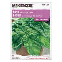 Semence - Basilic à feuille de laitue - Mckenzie
