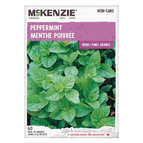 Semence - Menthe poivrée - Mckenzie