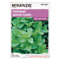 Semence - Menthe poivrée - Mckenzie