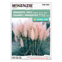 Semence - Graminées ornementaux Herbe de la pampa rose - Mckenzie