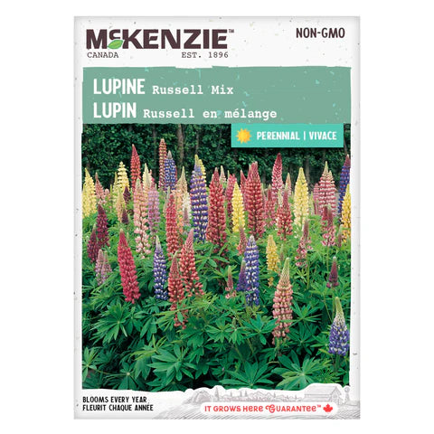 Semence - Lupin Russell en mélange - Mckenzie