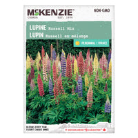 Semence - Lupin Russell en mélange - Mckenzie