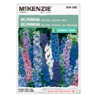 Semence - Delphinium Pacific giants en mélange - Mckenzie