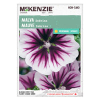 Semence - Mauve Zebrina - Mckenzie