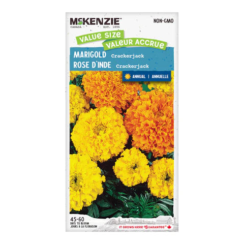 Semence - Rose d'inde Crackerjack - Mckenzie