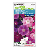 Semence - Gloire du matin en mélange - Mckenzie