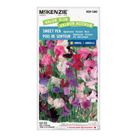 Semence - Pois de senteur Spencer giant en mélange - Mckenzie