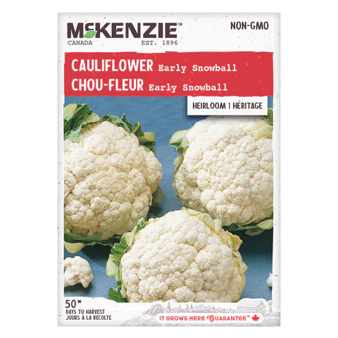 Semence - Chou-fleur Early snowball - Mckenzie