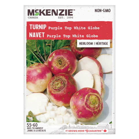 Semence - Navet Purple top white globe - Mckenzie