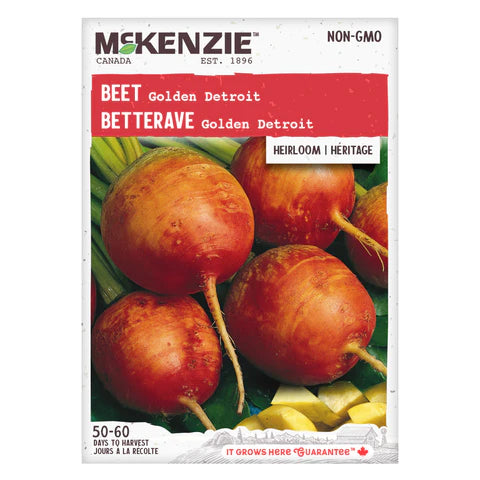 Seed - Golden Detroit Beet - McKenzie