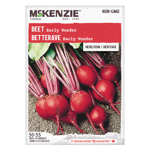 Seed - Beet Early wonder tall top - Mckenzie