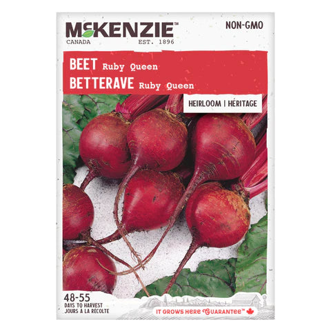 Semence - Betterave Ruby queen - Mckenzie