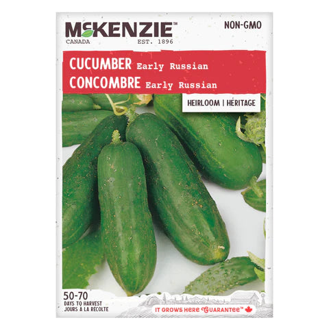 Semence - Concombre early russian - Mckenzie
